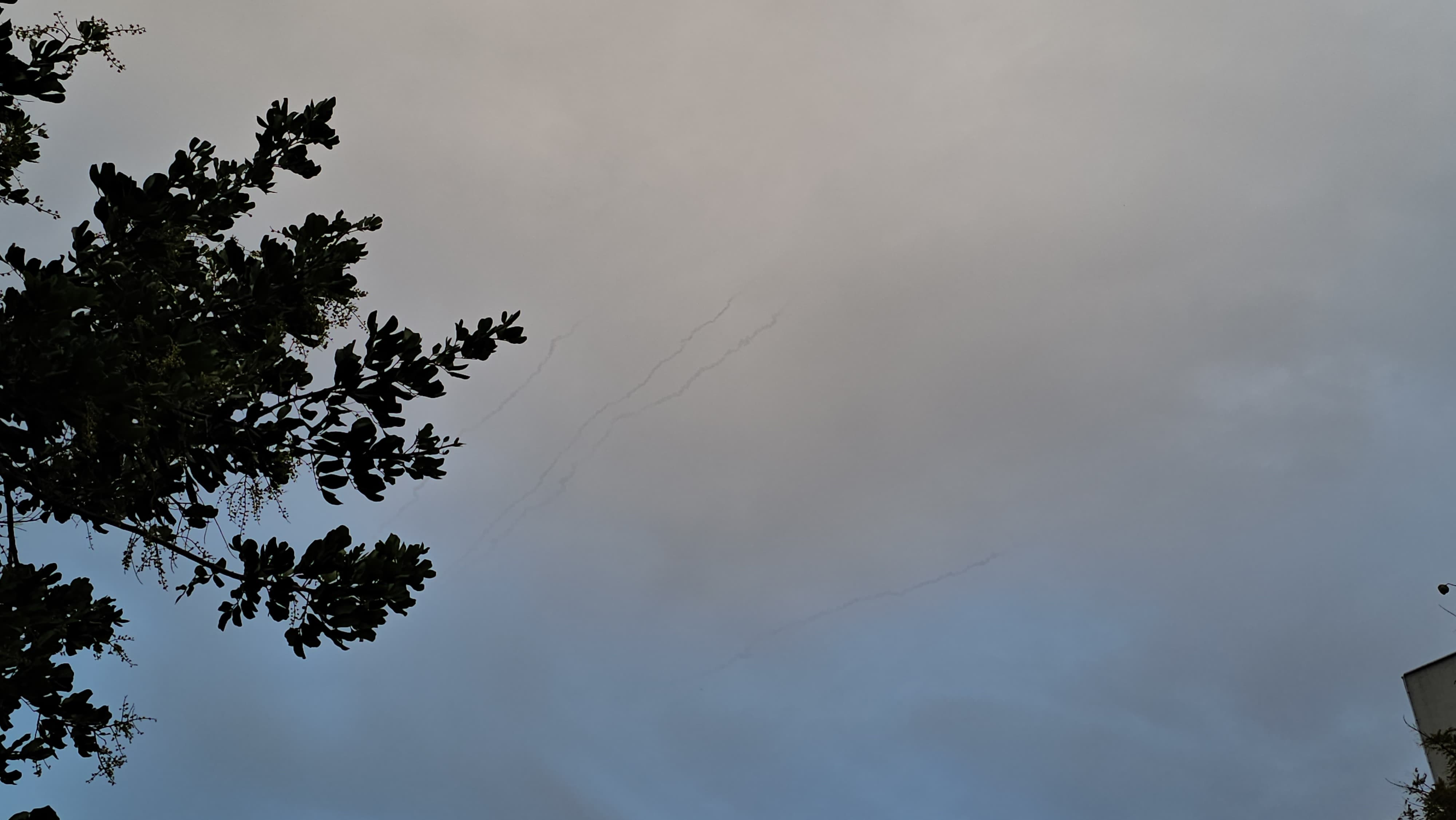 WhatsApp Image 2024-01-29 at 16.54.22.jpeg